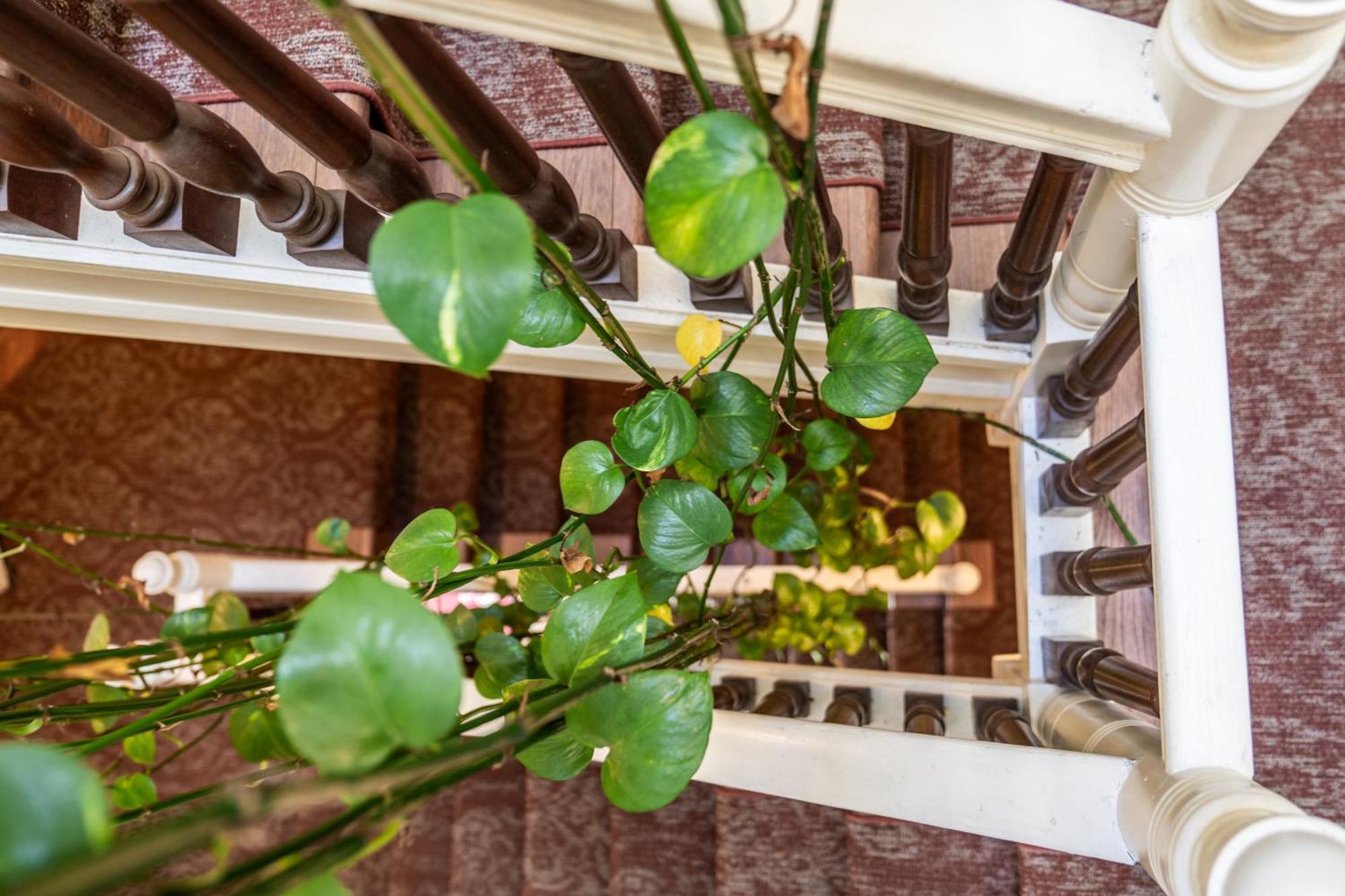 Oaklands On 9Th Apartment Minneapolis Ngoại thất bức ảnh